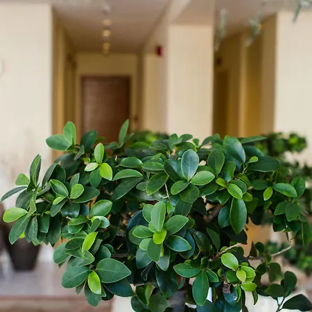 Bellevue On The 5* Rhodes City