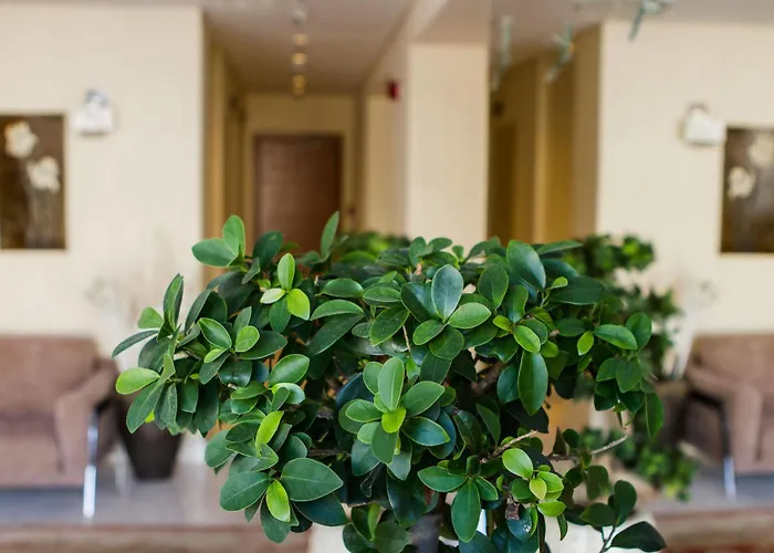 Bellevue On The 5* Родос